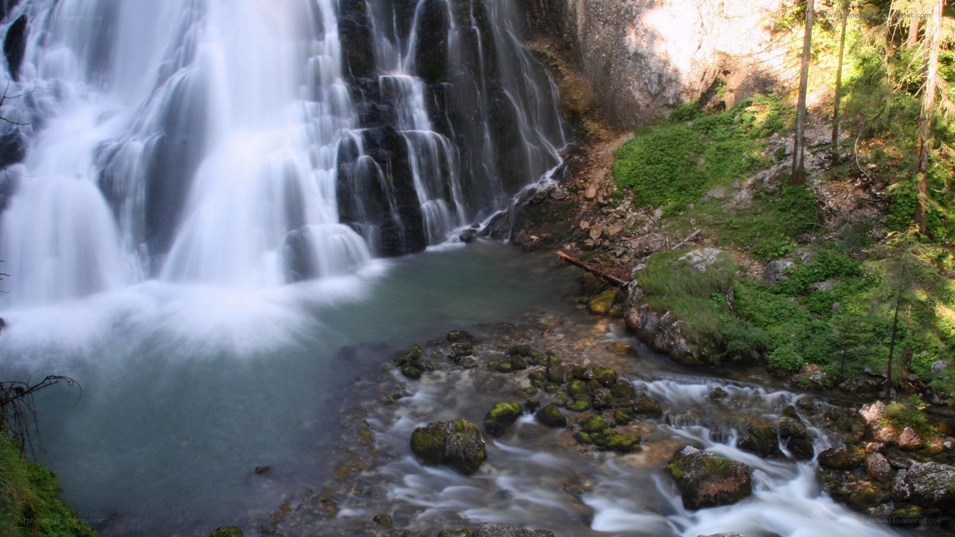 Waterfall in a forest