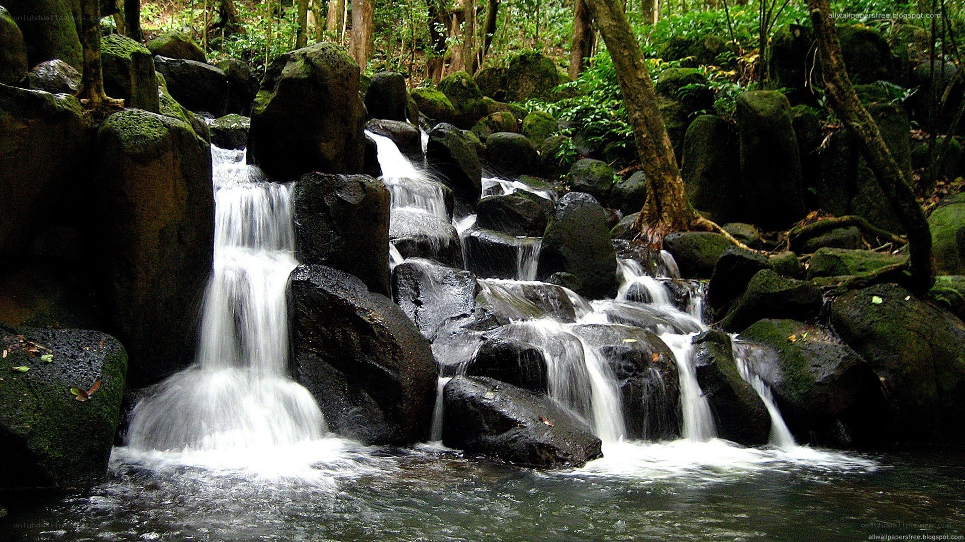Waterfall in a forest