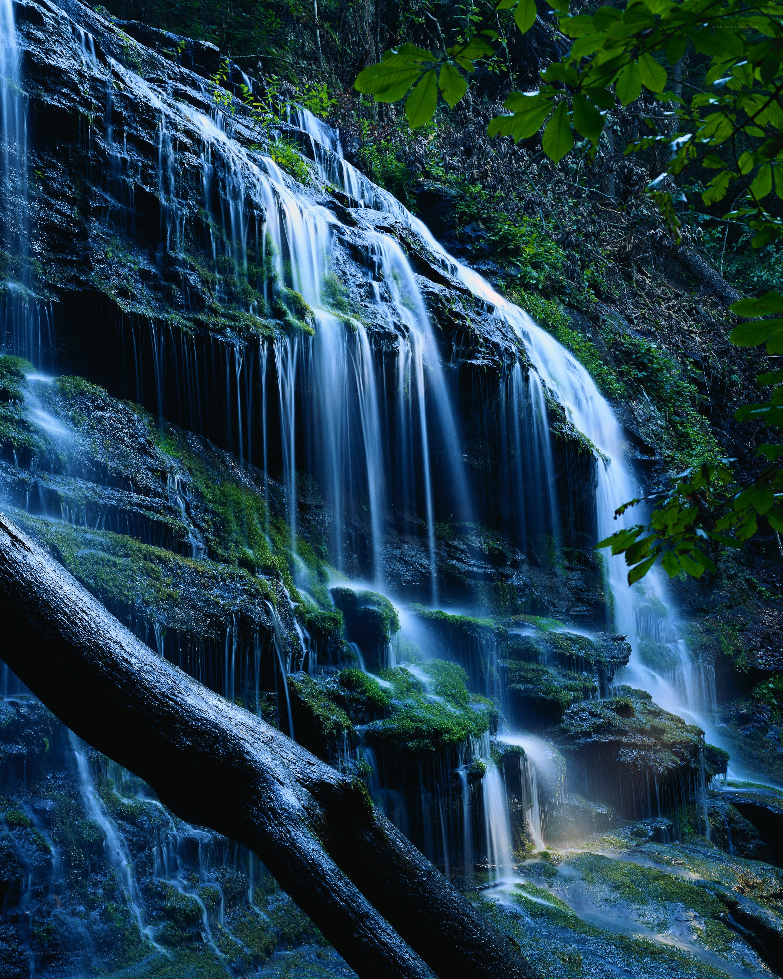 Waterfall in a forest