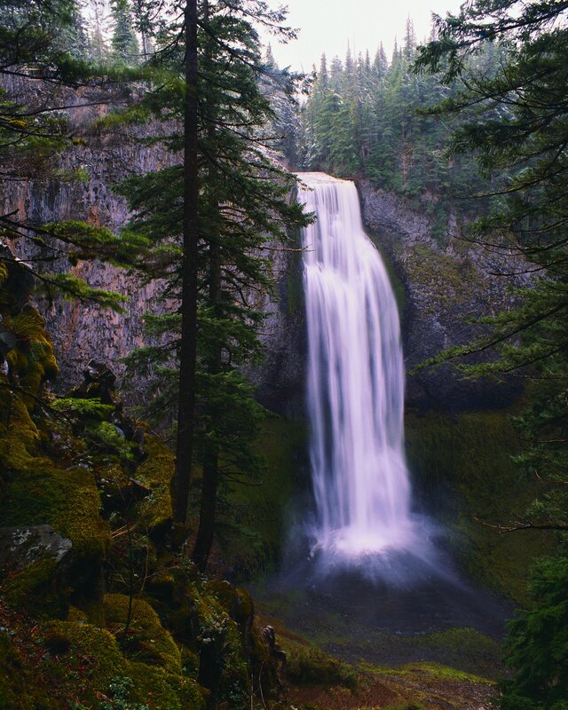 Waterfall in a forest