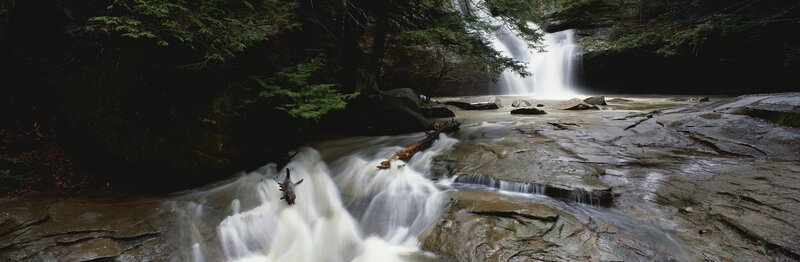 Waterfall in a forest