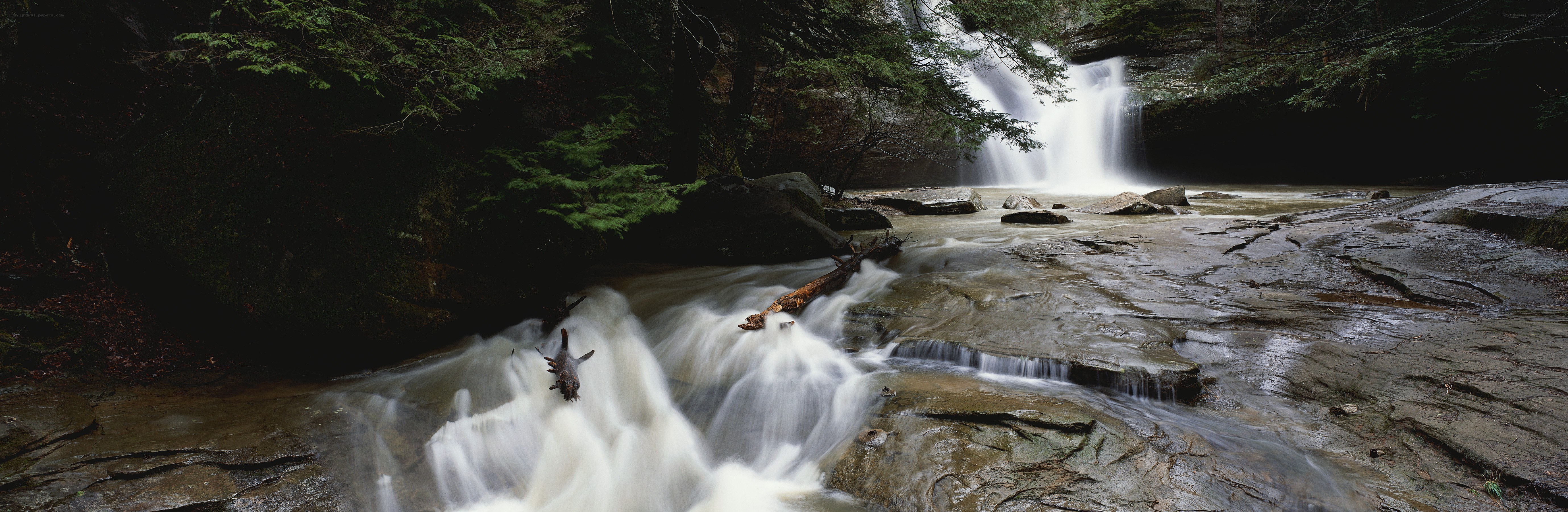 Waterfall in a forest