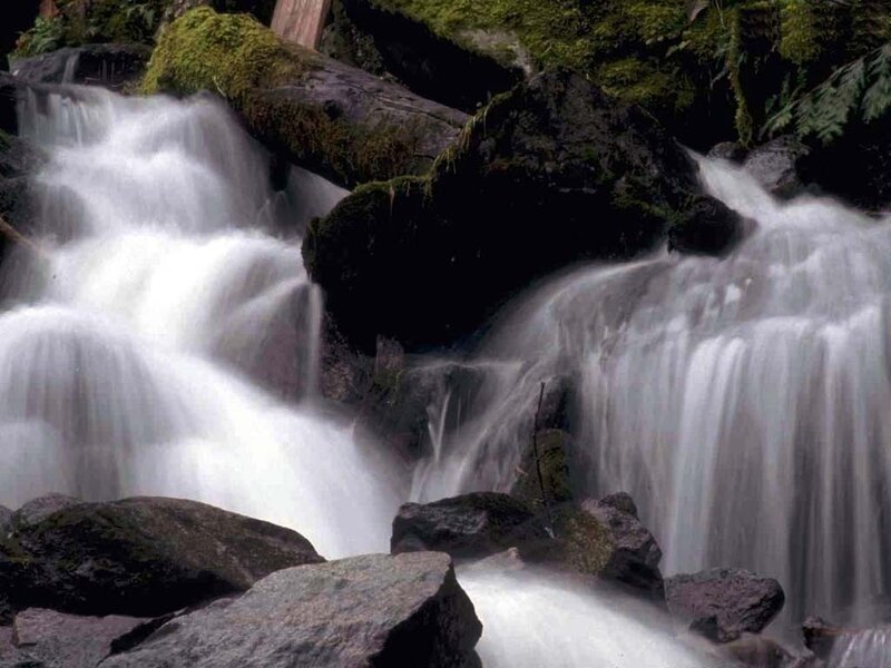 Waterfall in a forest