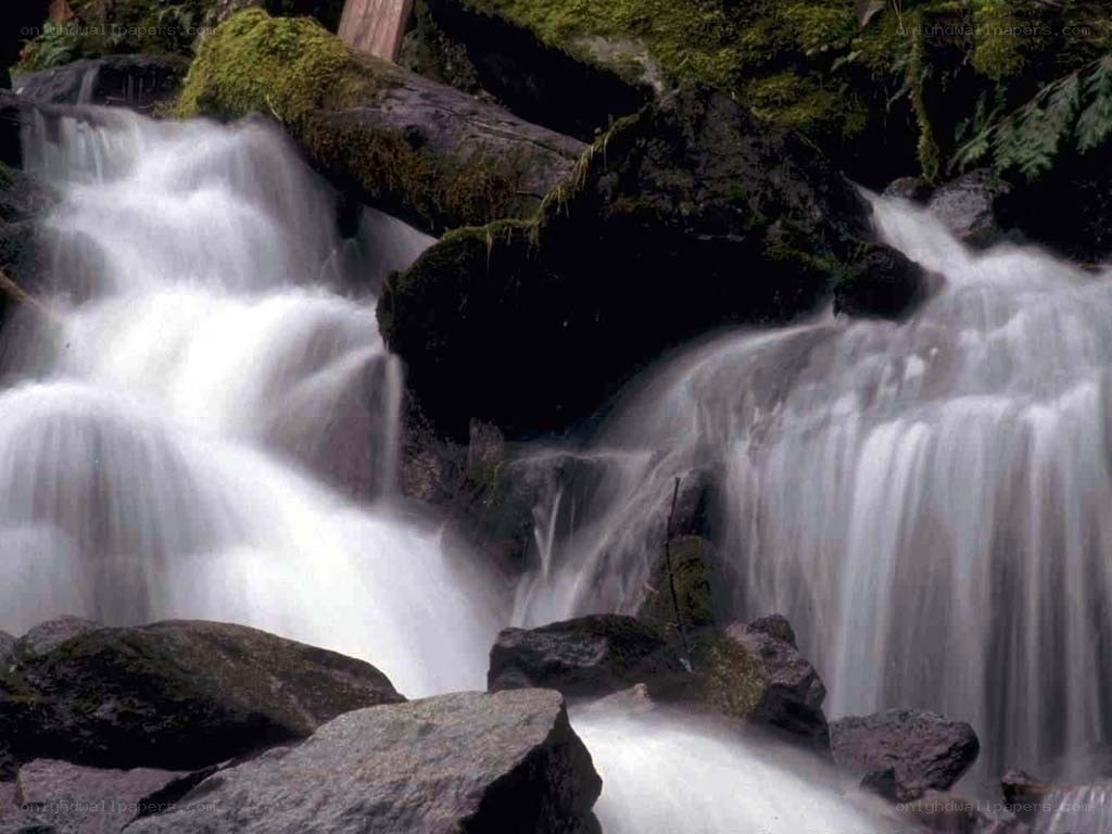 Waterfall in a forest