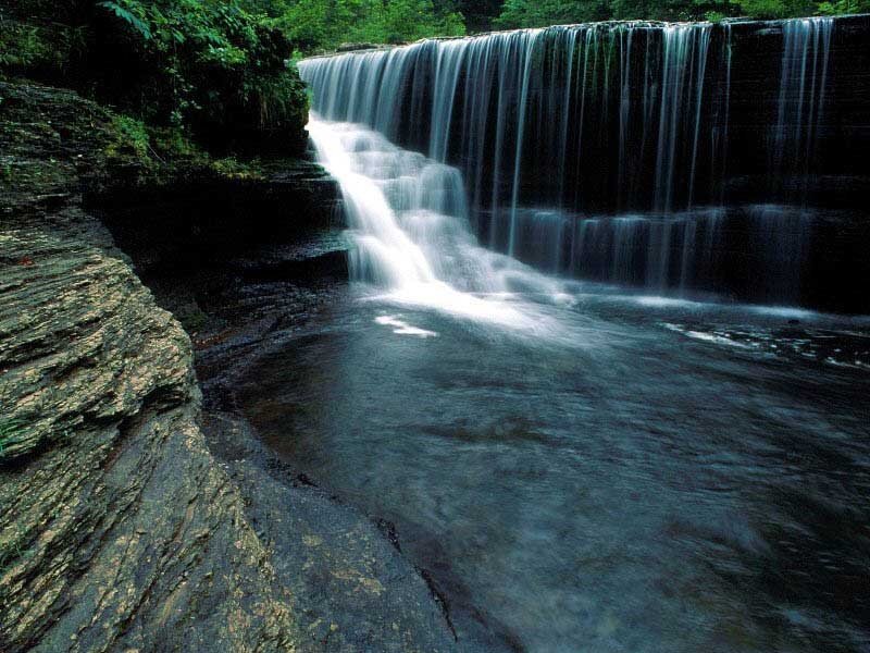 Waterfall in a forest