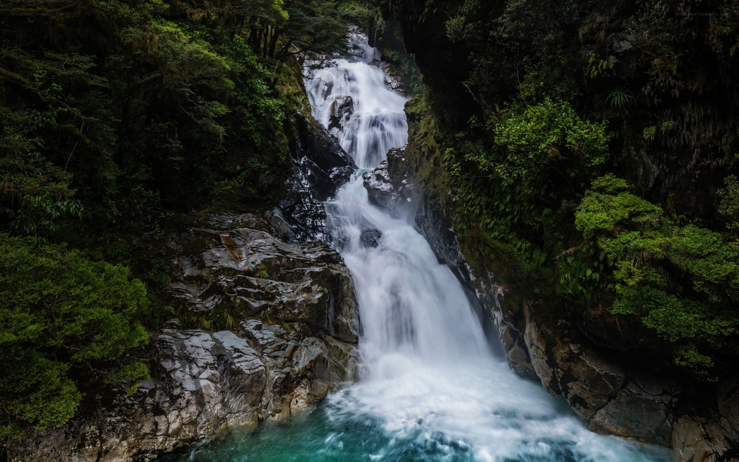 Waterfall in a forest canyon