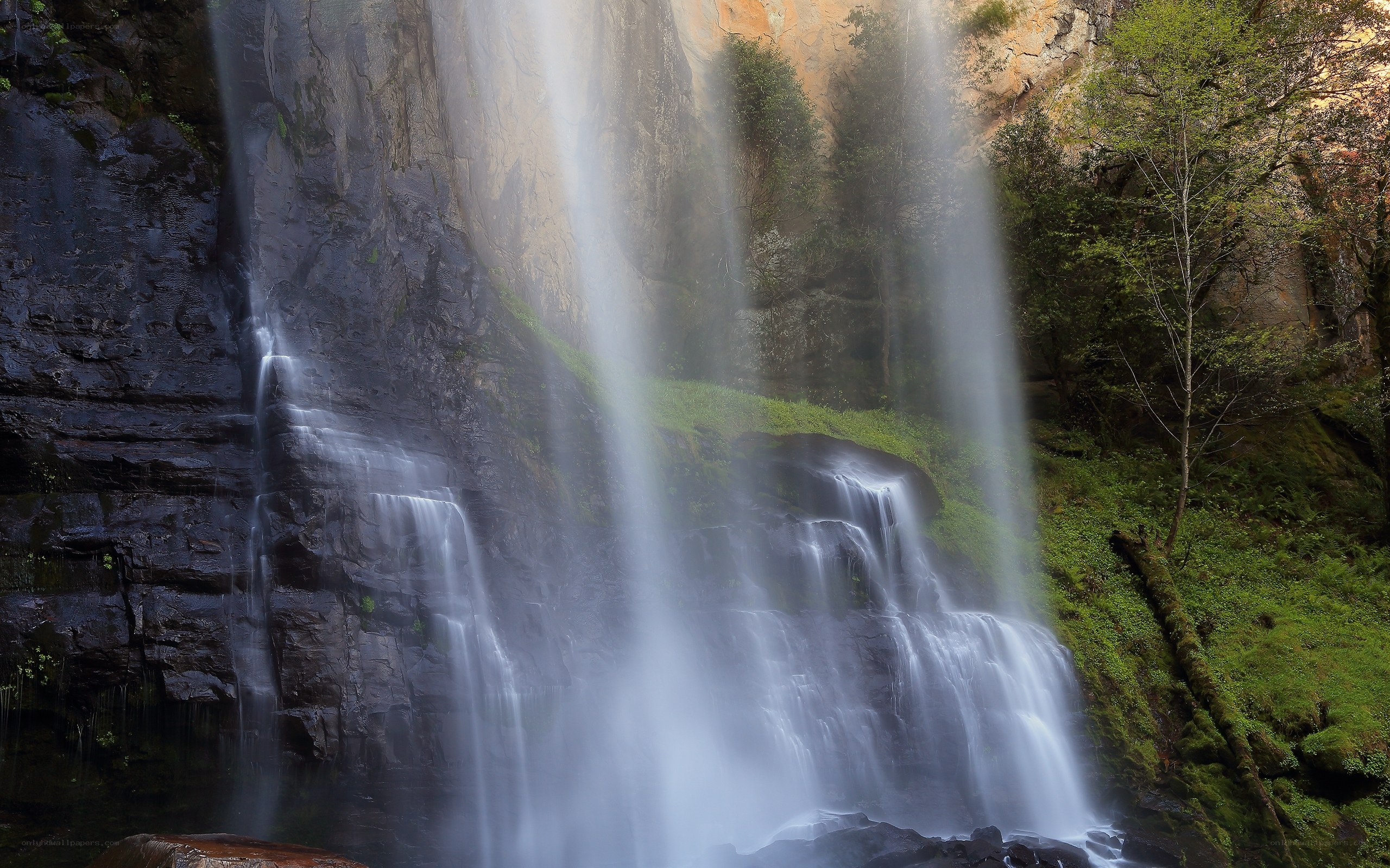 Waterfall in a forest canyon