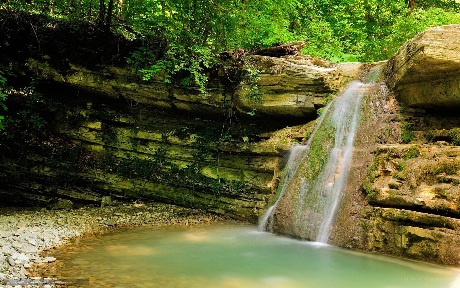 Waterfall in a forest canyon