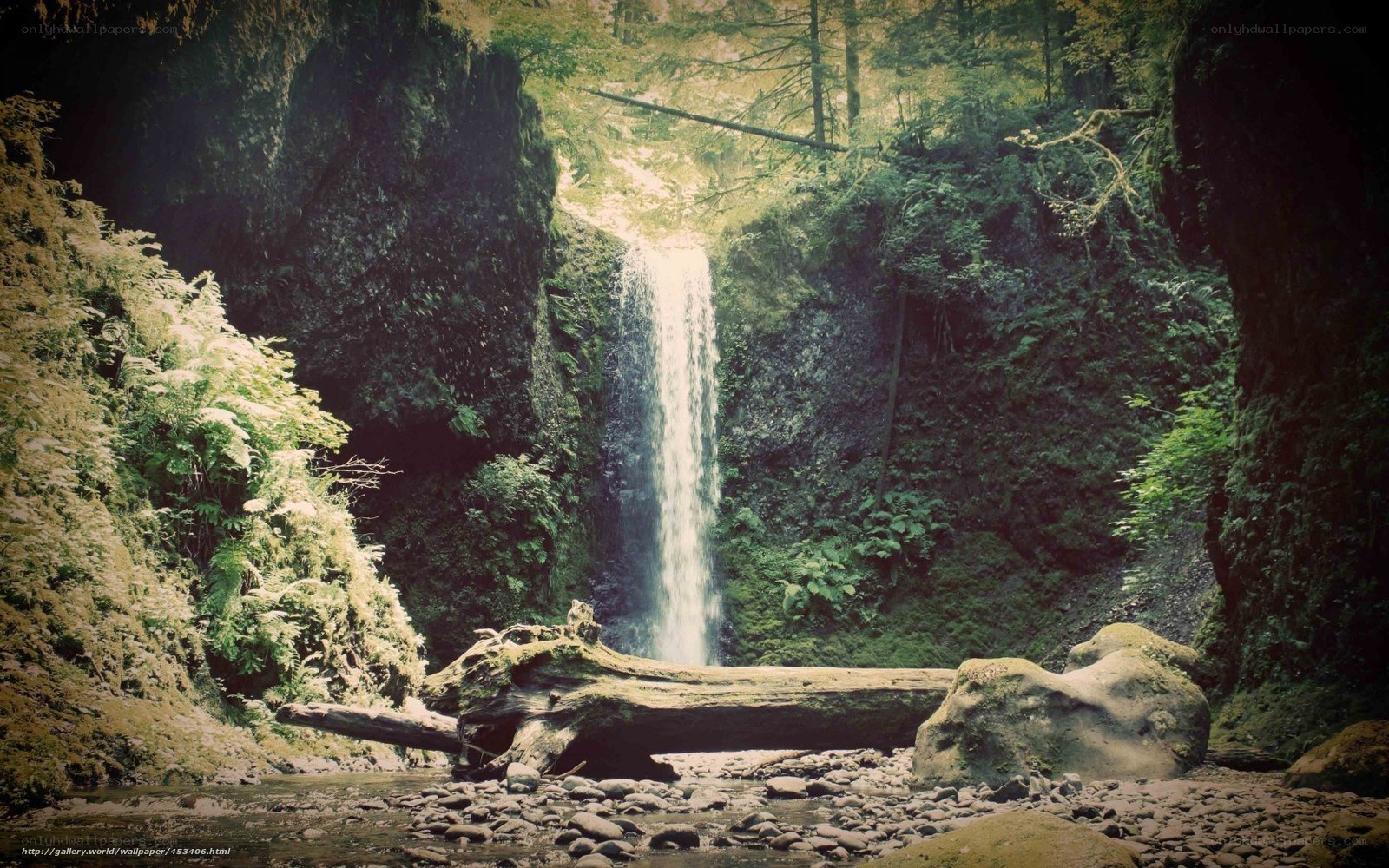 Waterfall in a forest canyon
