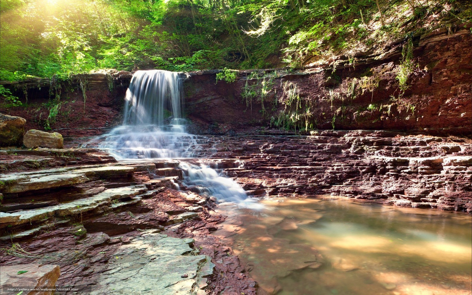 Waterfall in a forest canyon