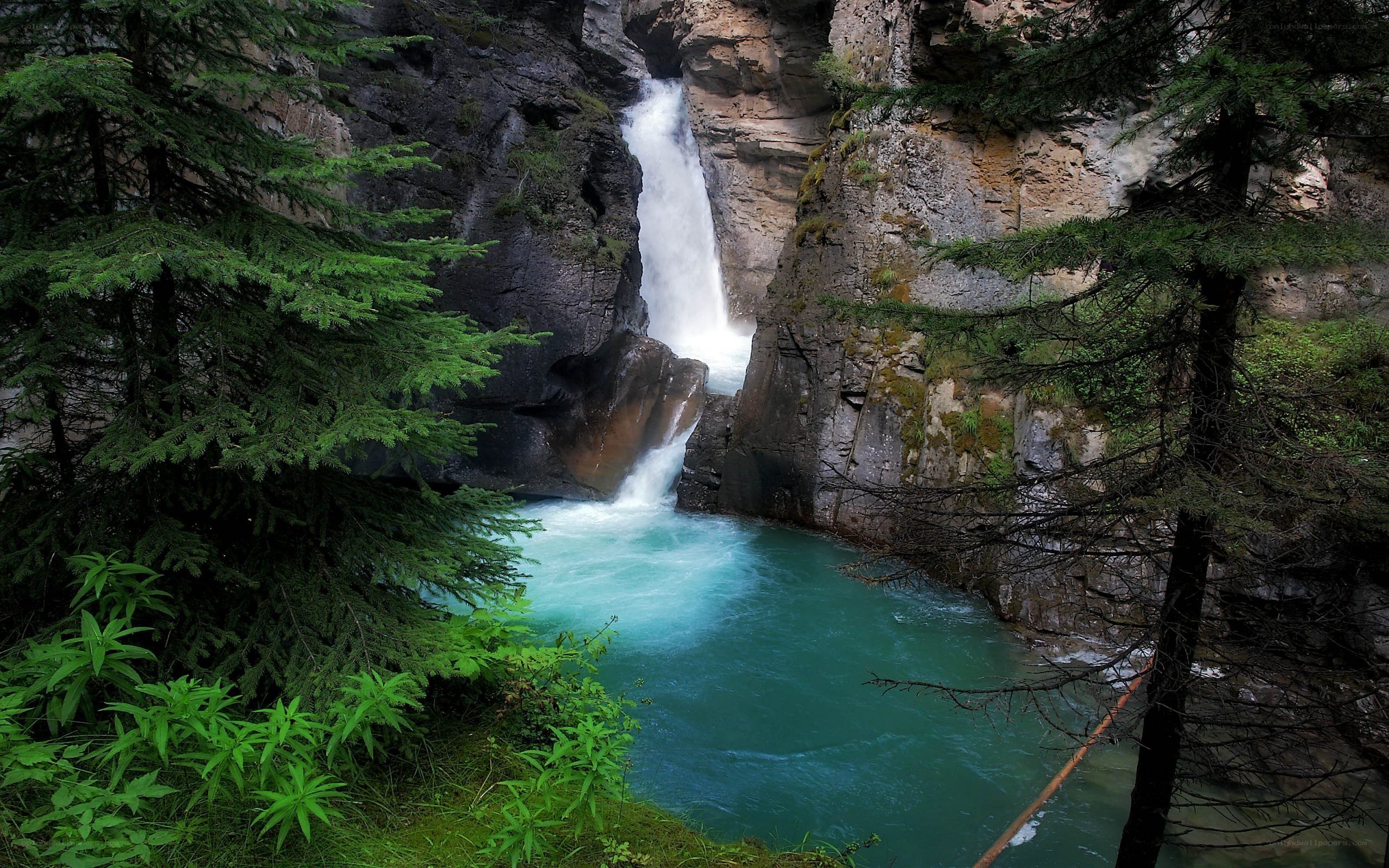 Waterfall in a forest canyon
