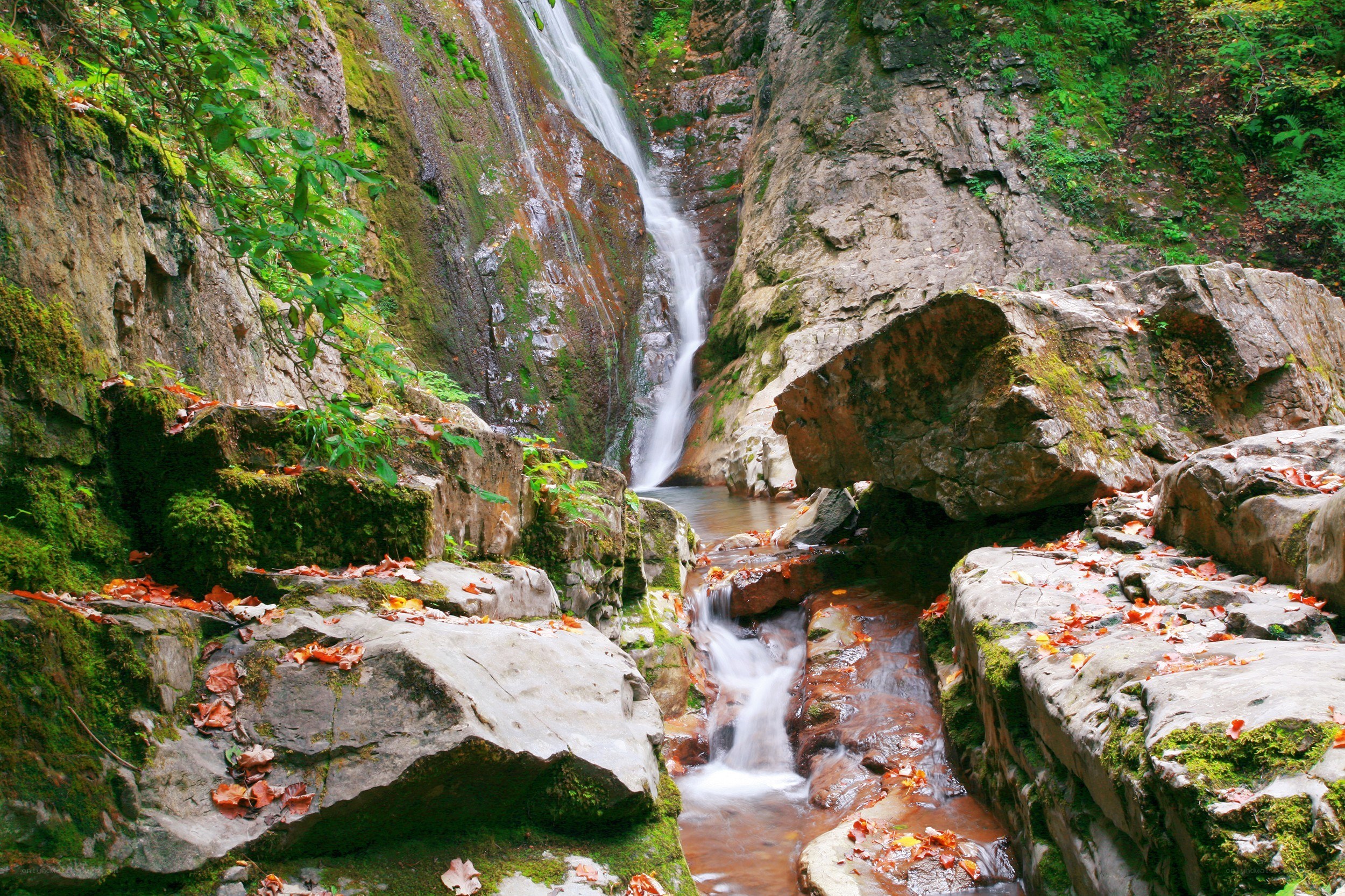 Waterfall in a forest canyon