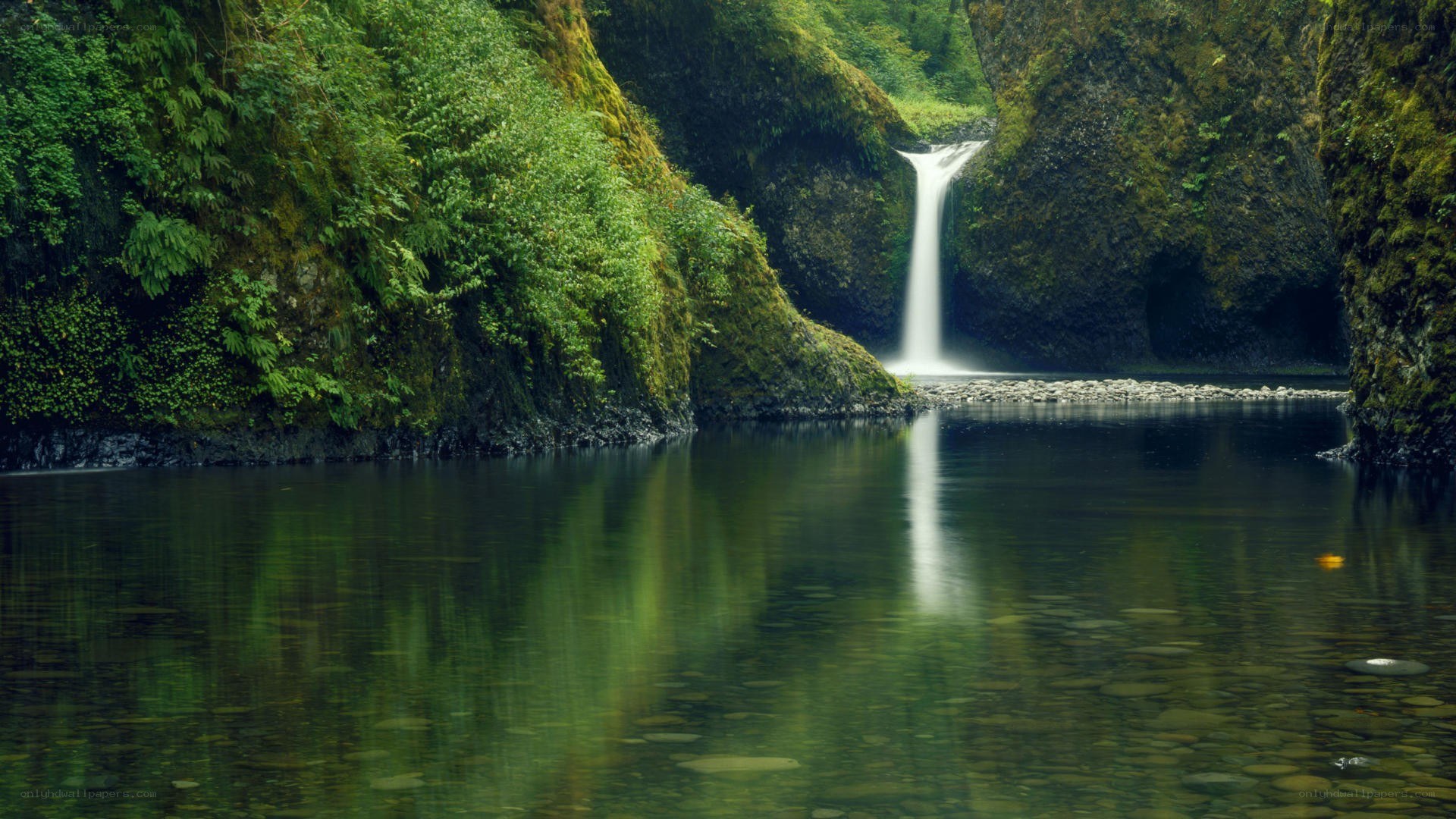 Waterfall in a forest canyon