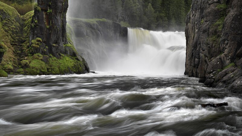 Waterfall in a forest canyon