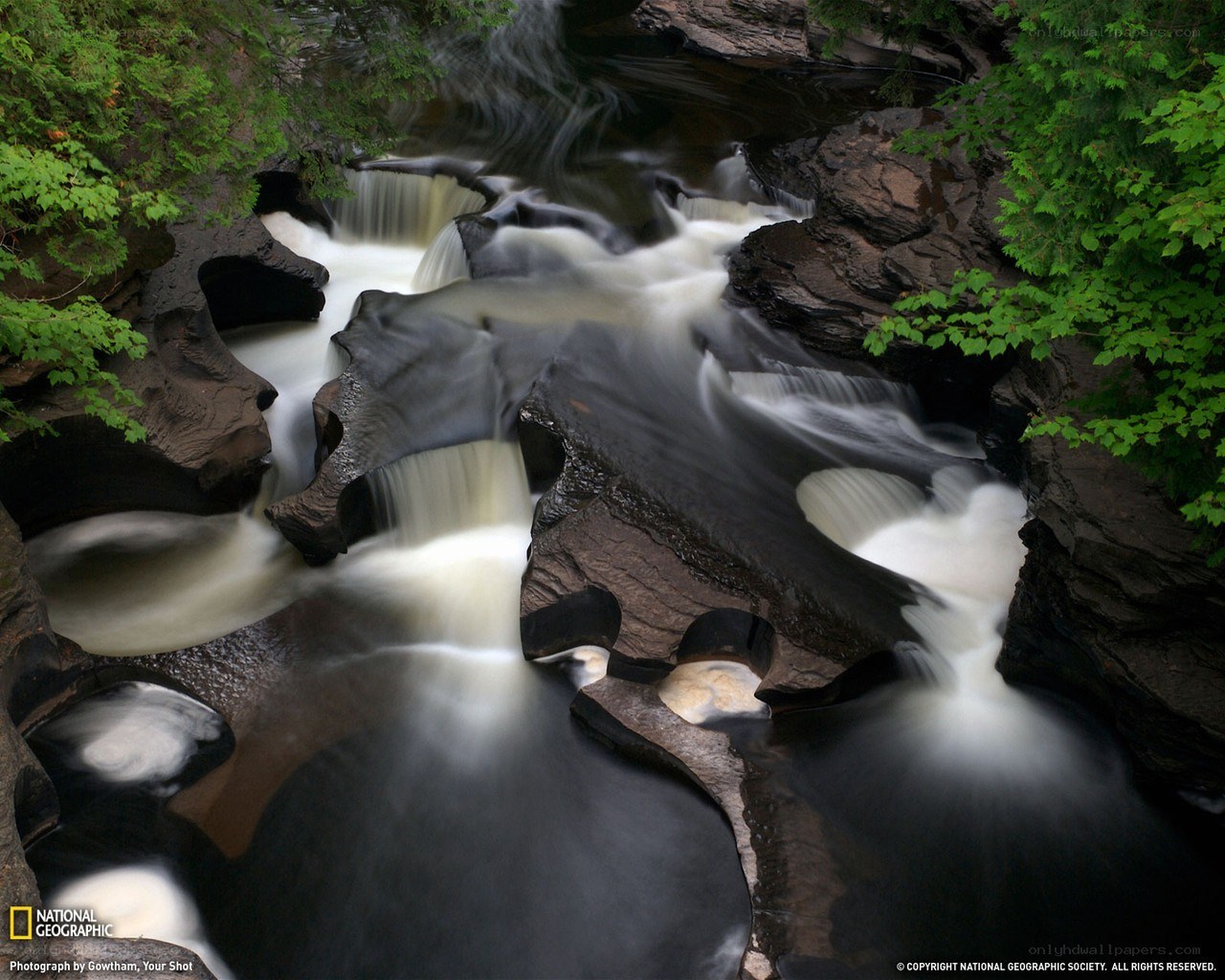 Waterfall in a forest canyon