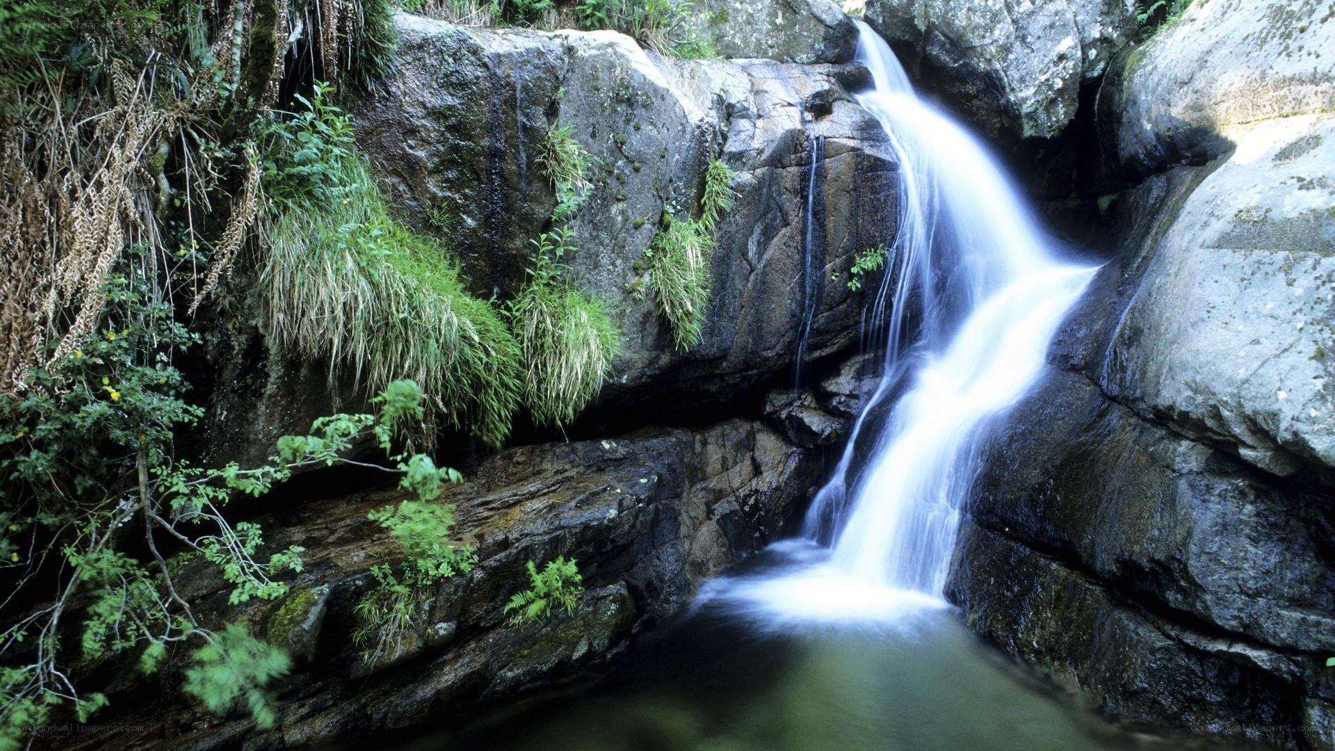 Waterfall in a forest canyon