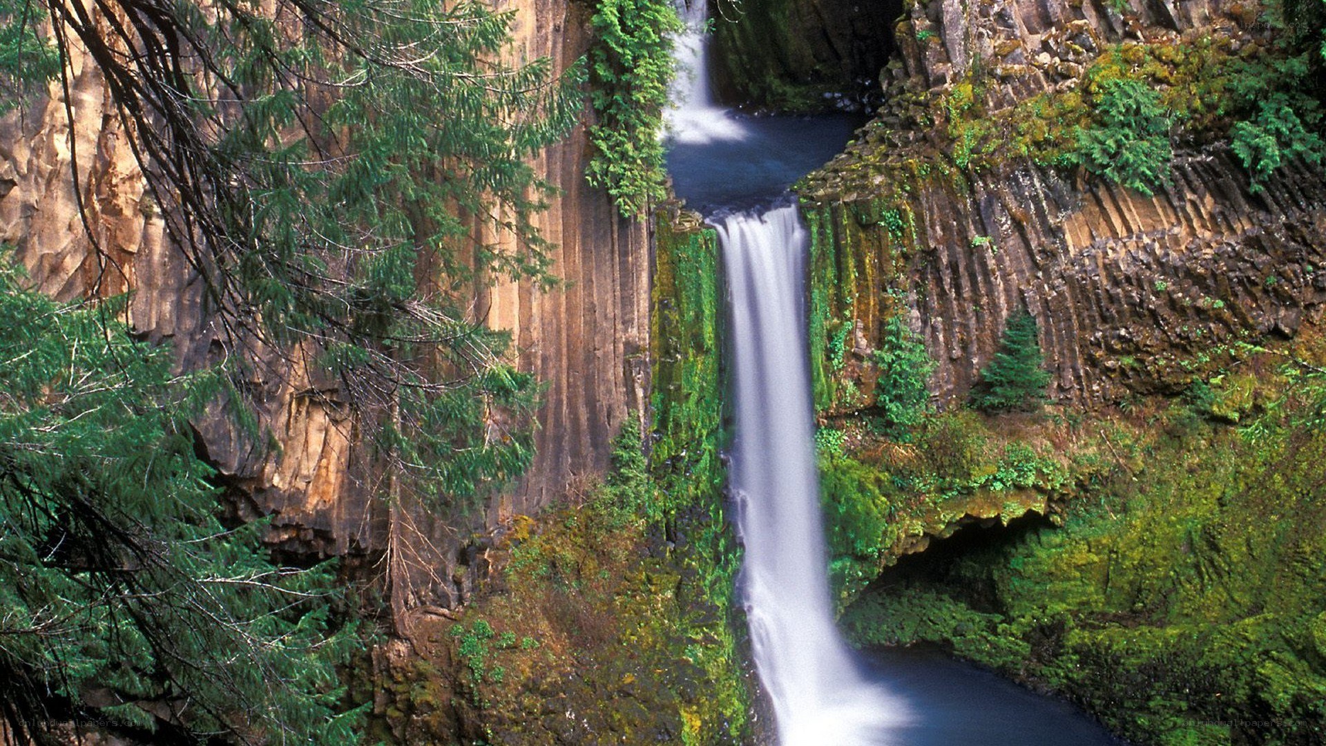 Waterfall in a forest canyon