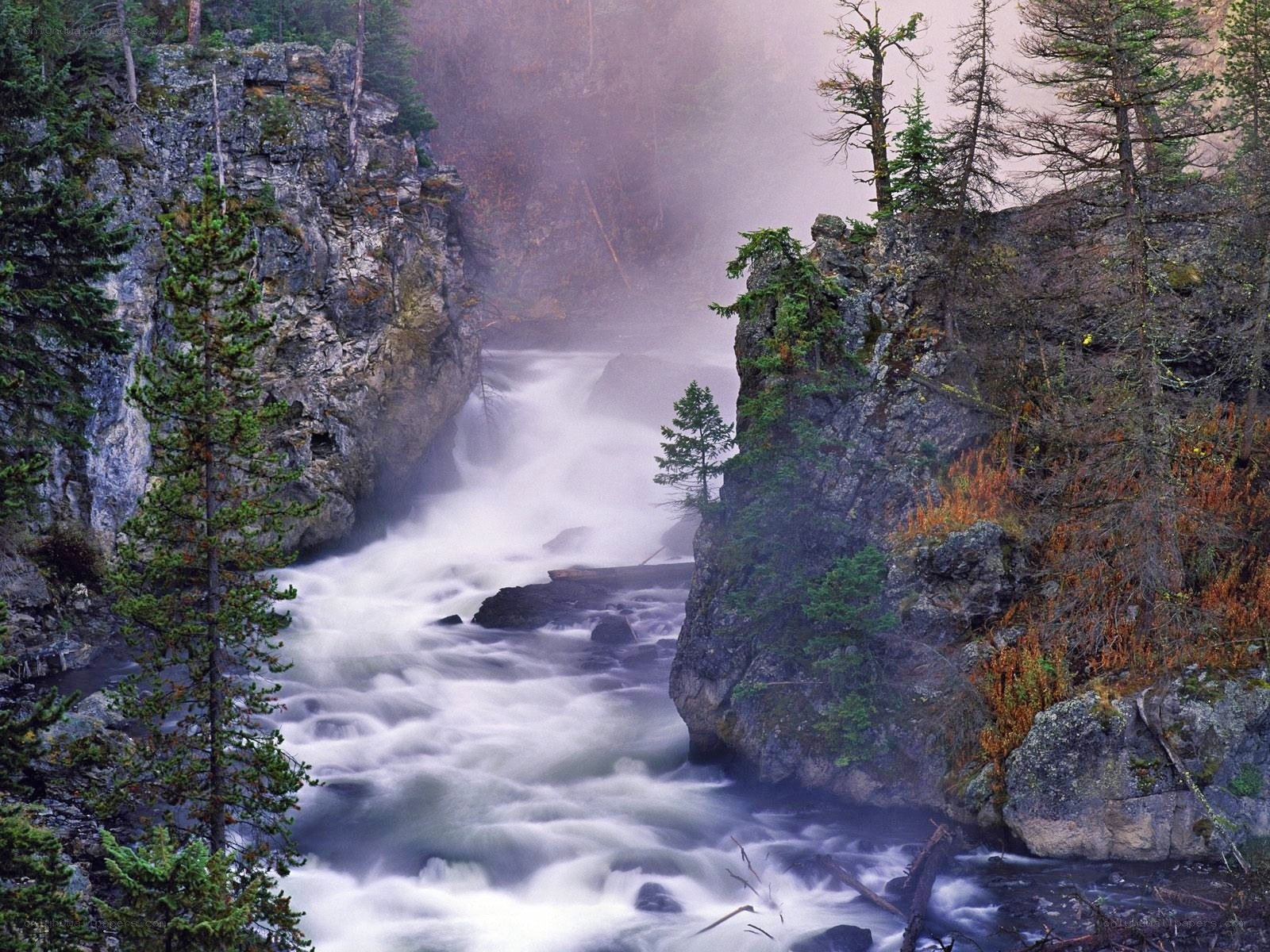 Waterfall in a forest canyon