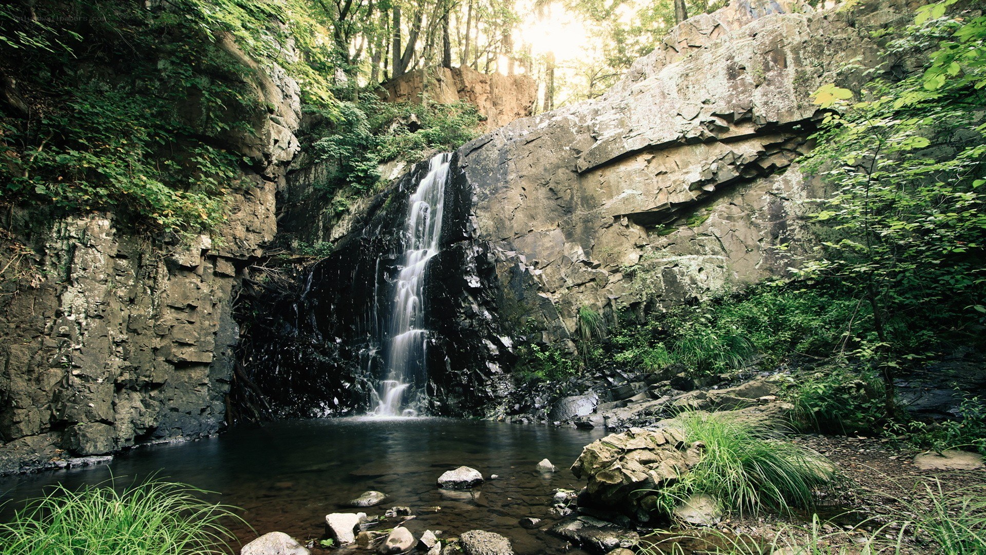 Waterfall in a forest canyon