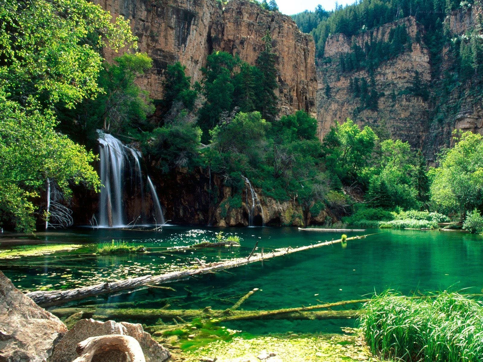 Waterfall in a forest canyon