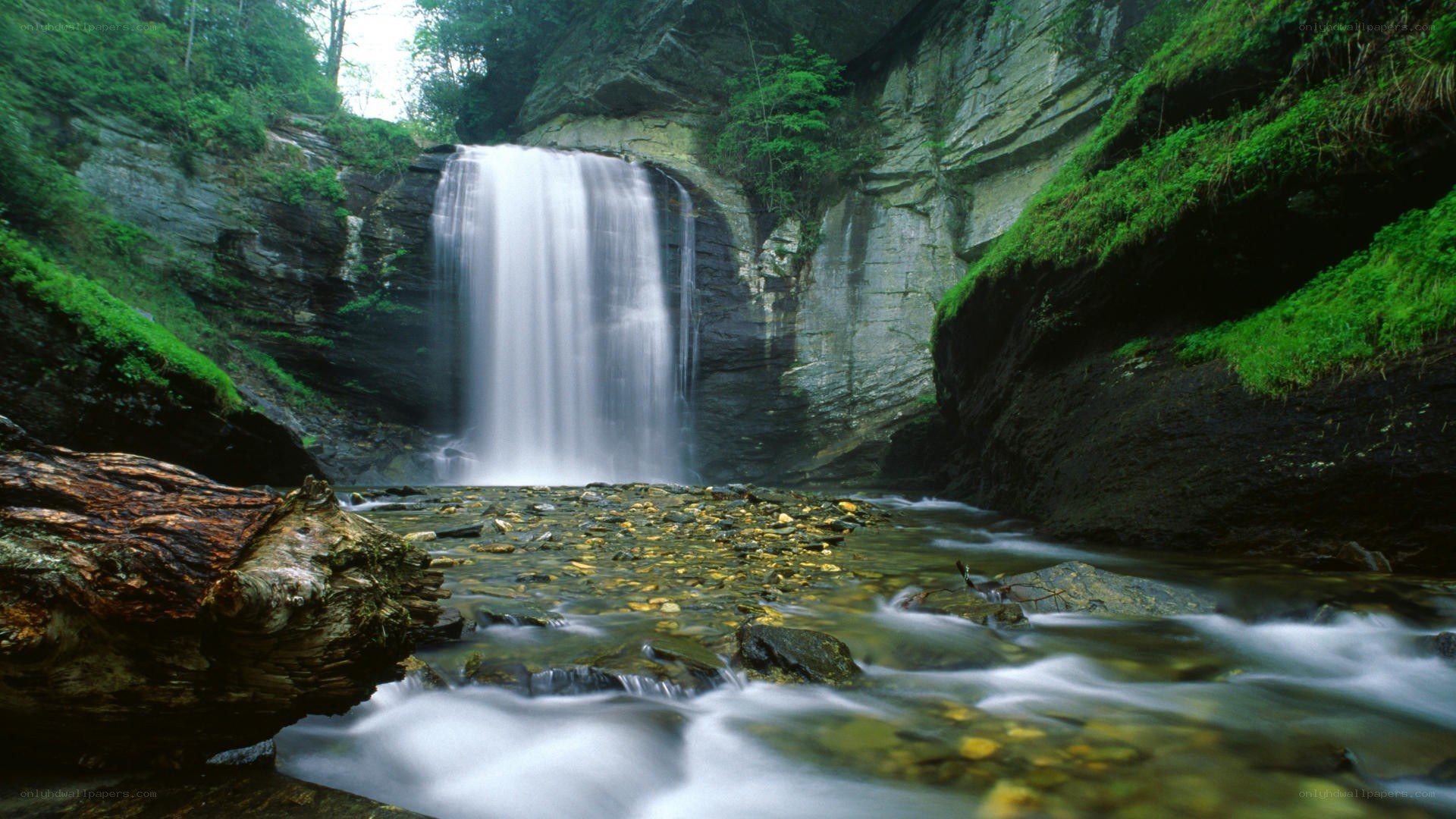 Waterfall in a forest canyon