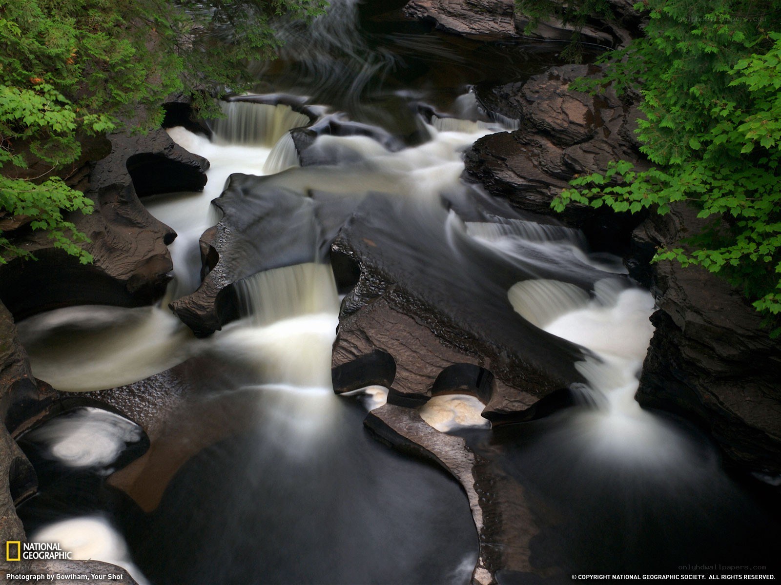 Waterfall in a forest canyon