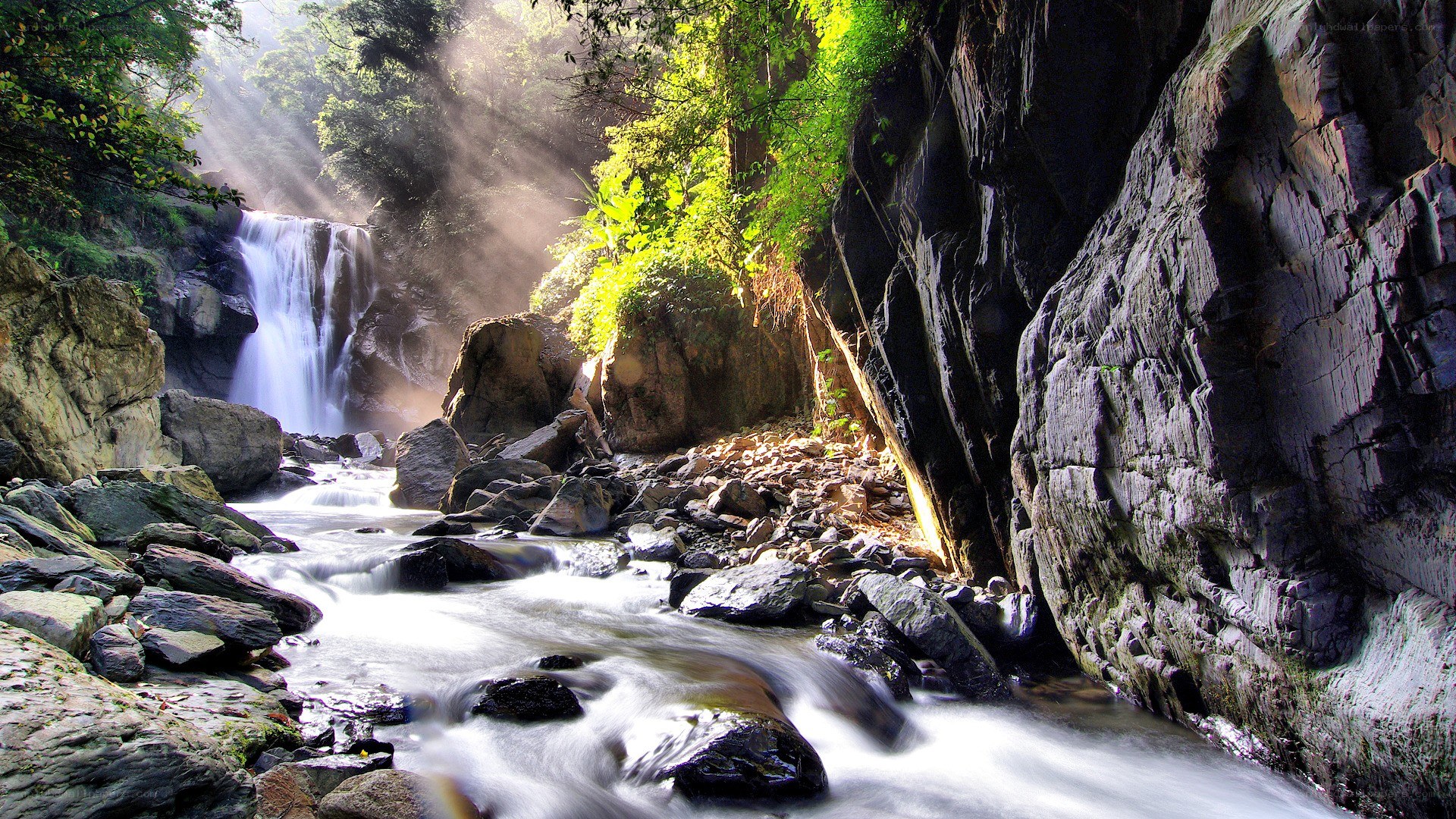 Waterfall in a forest canyon