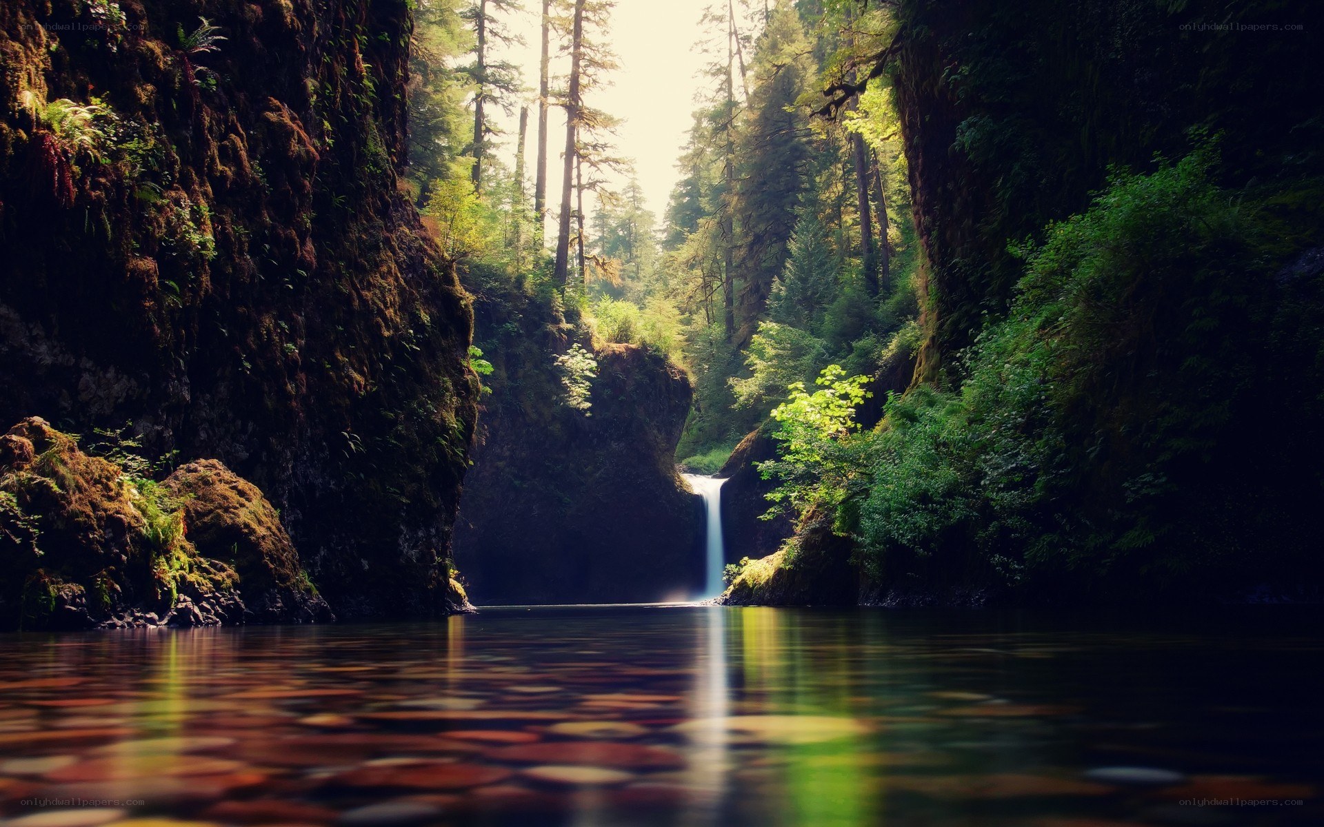 Waterfall in a forest canyon