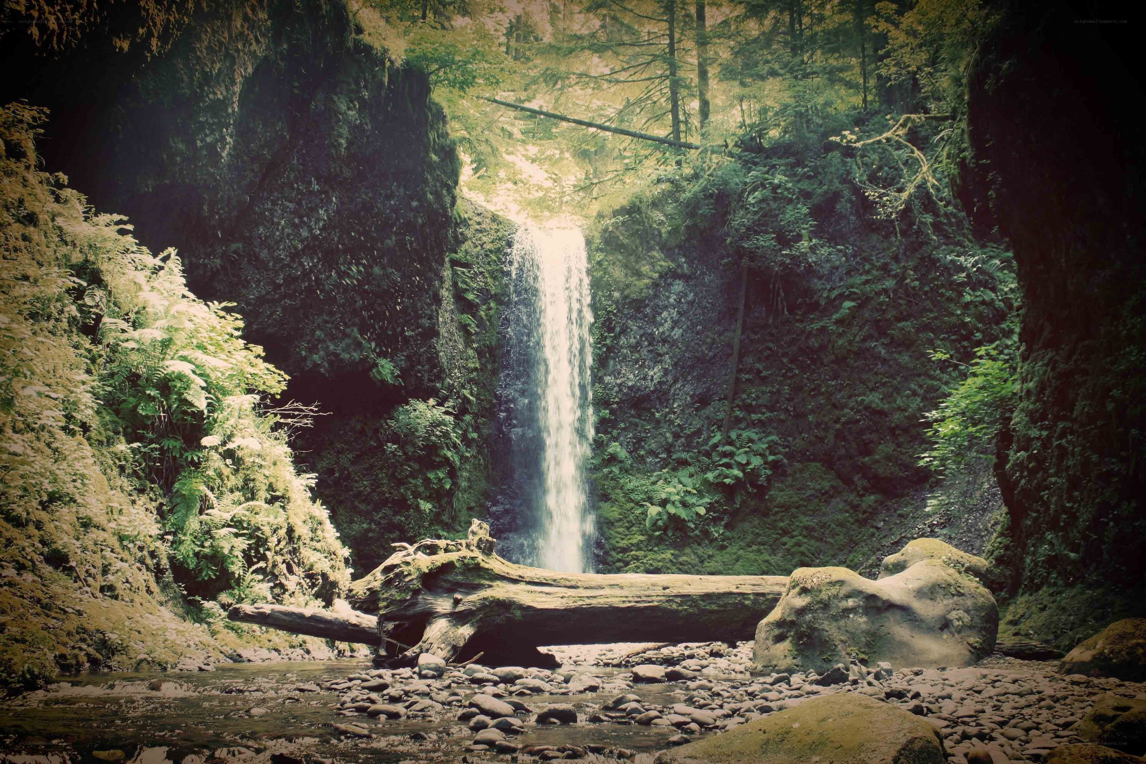 Waterfall in a forest canyon