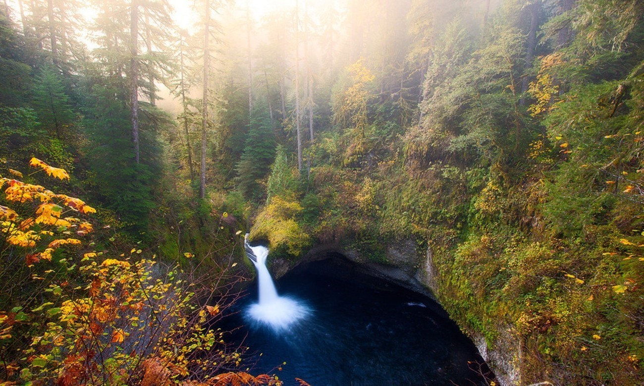 Waterfall in a forest canyon