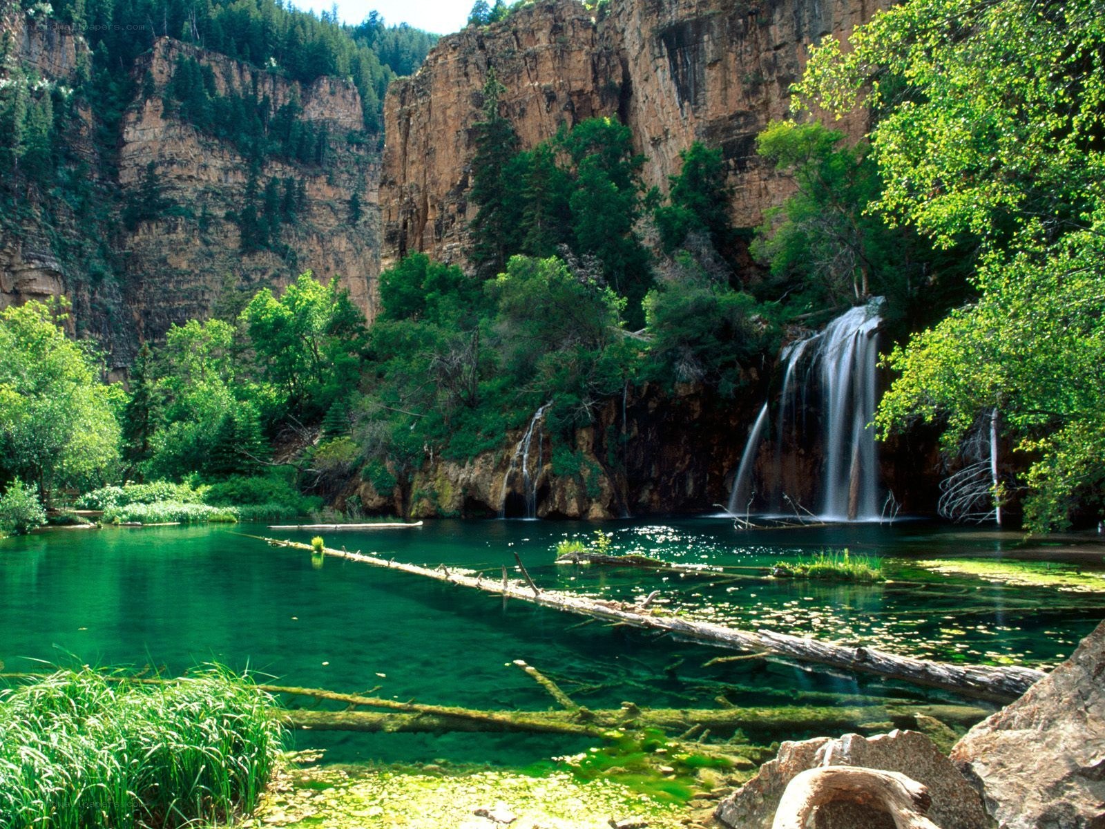 Waterfall in a forest canyon
