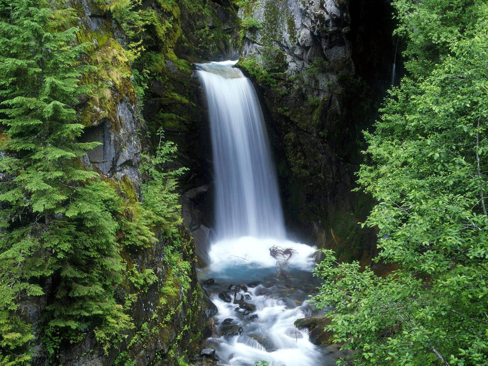Waterfall in a forest canyon