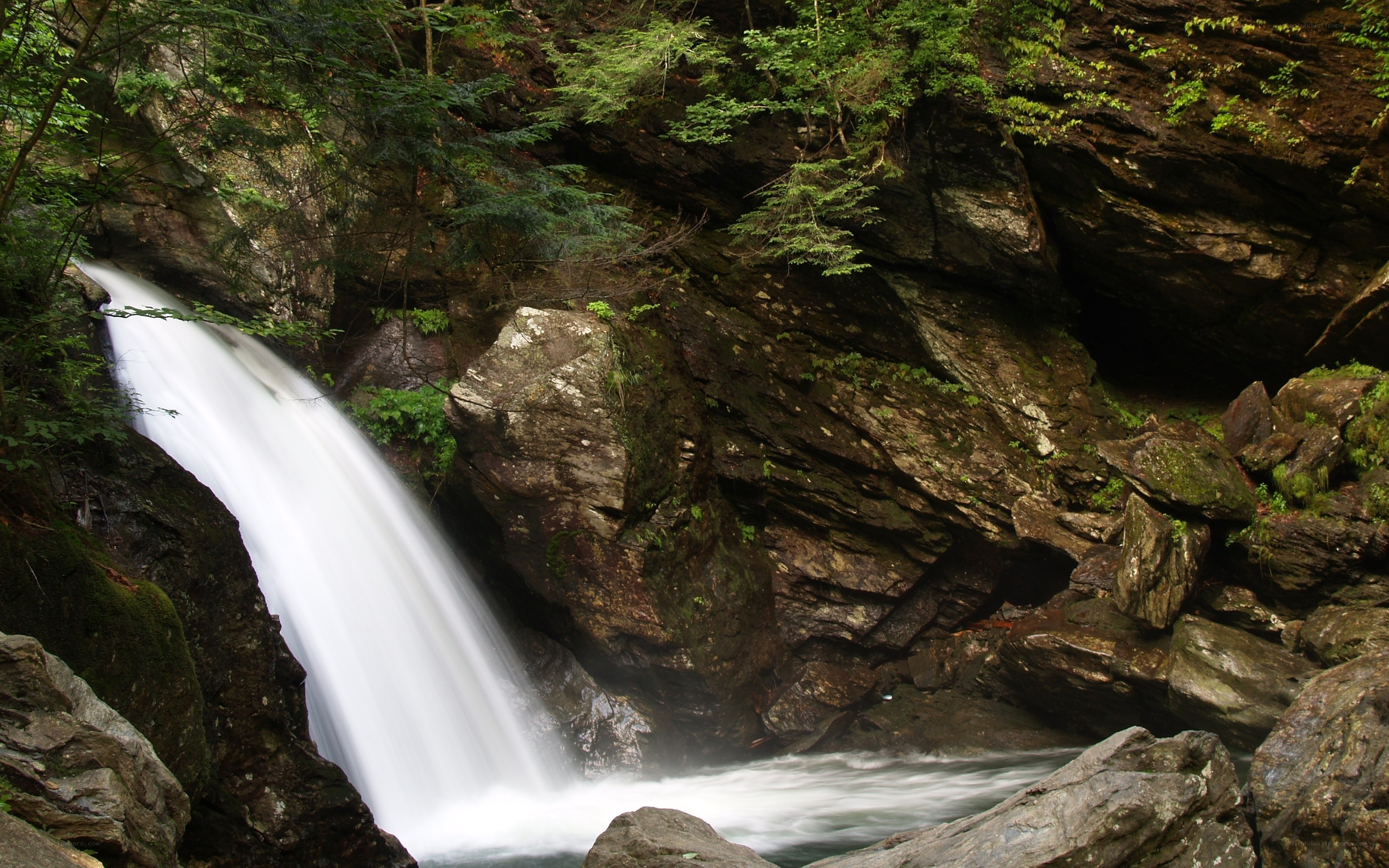Waterfall in a forest canyon