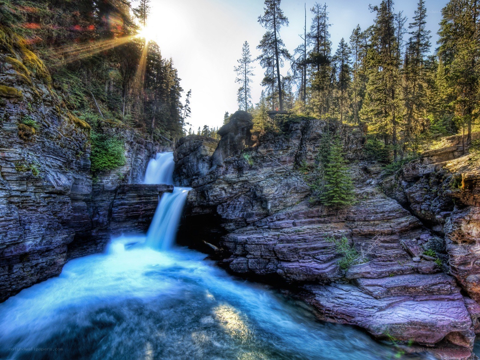 Waterfall in a forest canyon