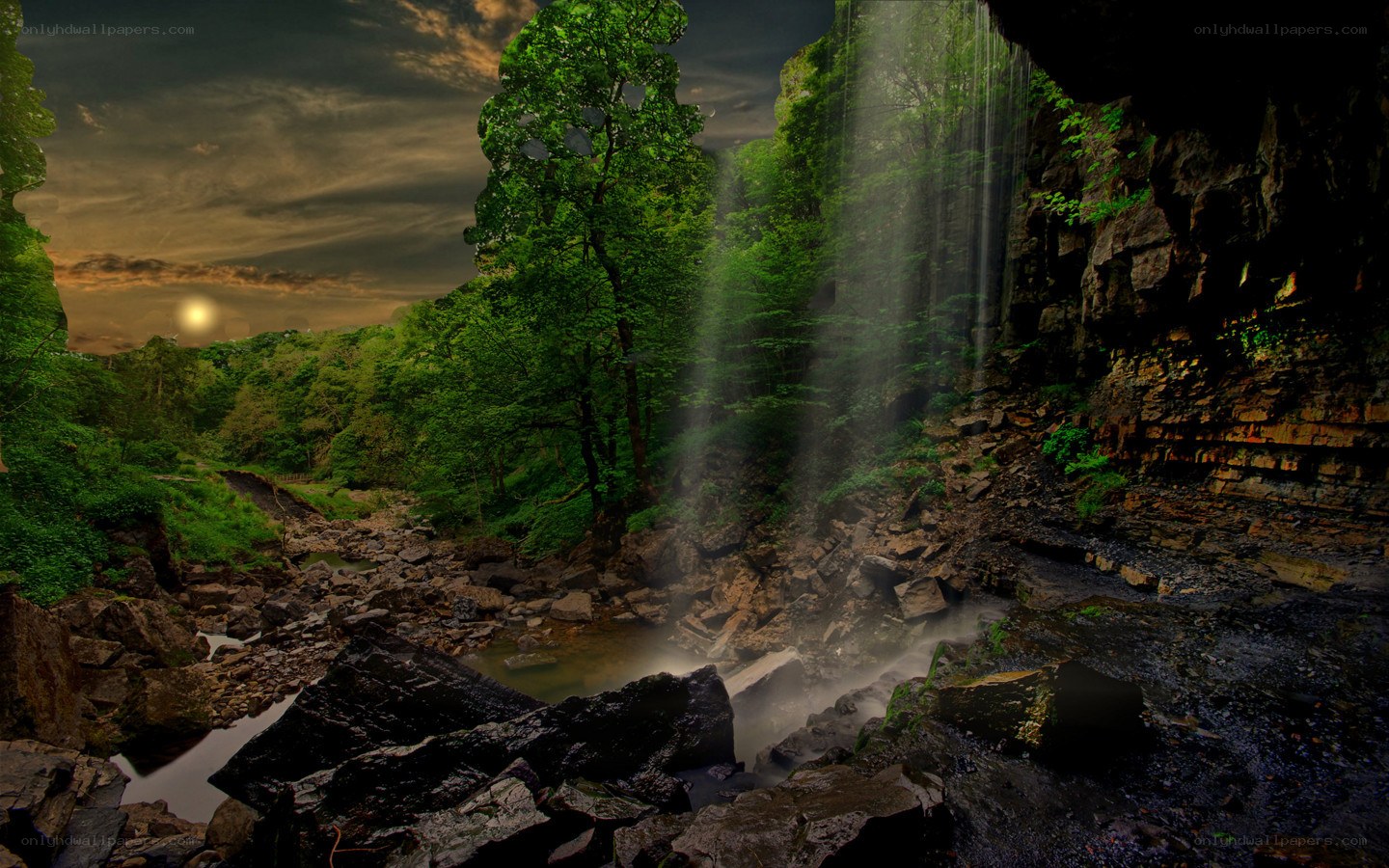 Waterfall in a forest canyon