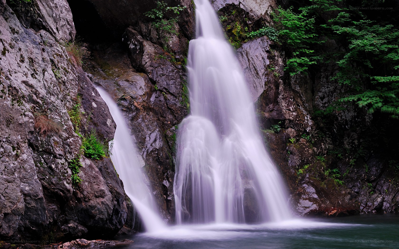Waterfall in a forest canyon