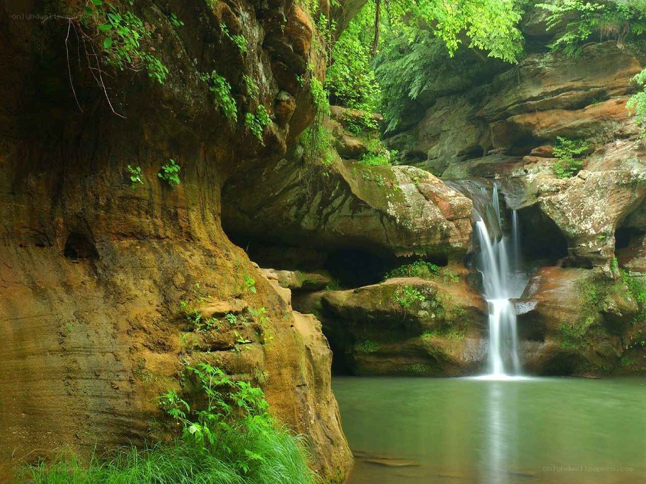 Waterfall in a forest canyon