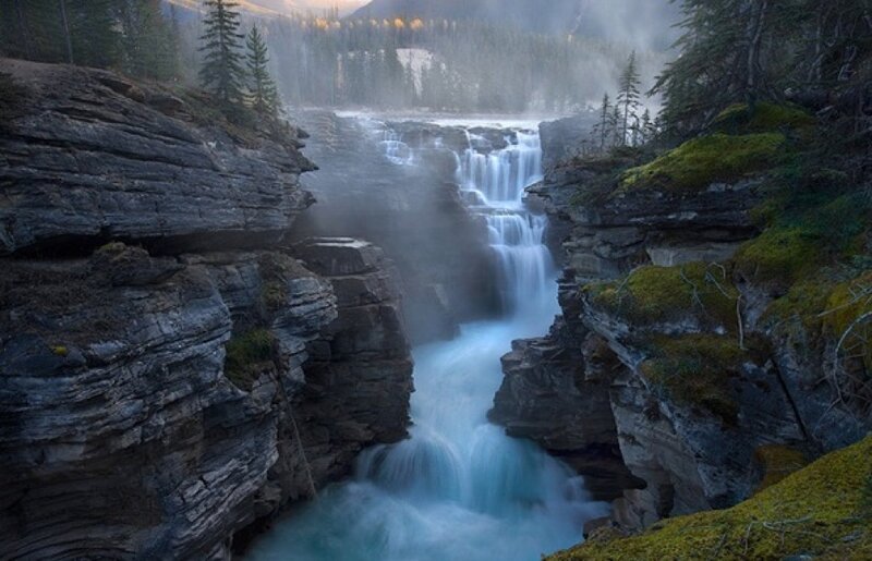 Waterfall in a forest canyon