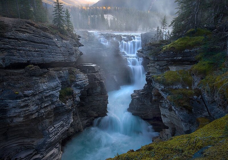 Waterfall in a forest canyon