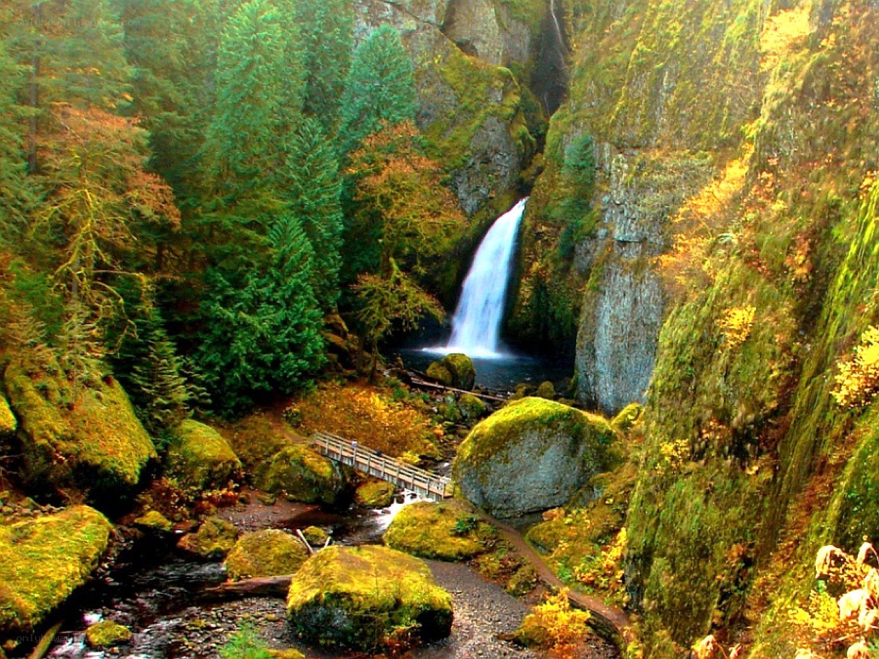 Waterfall in a forest canyon