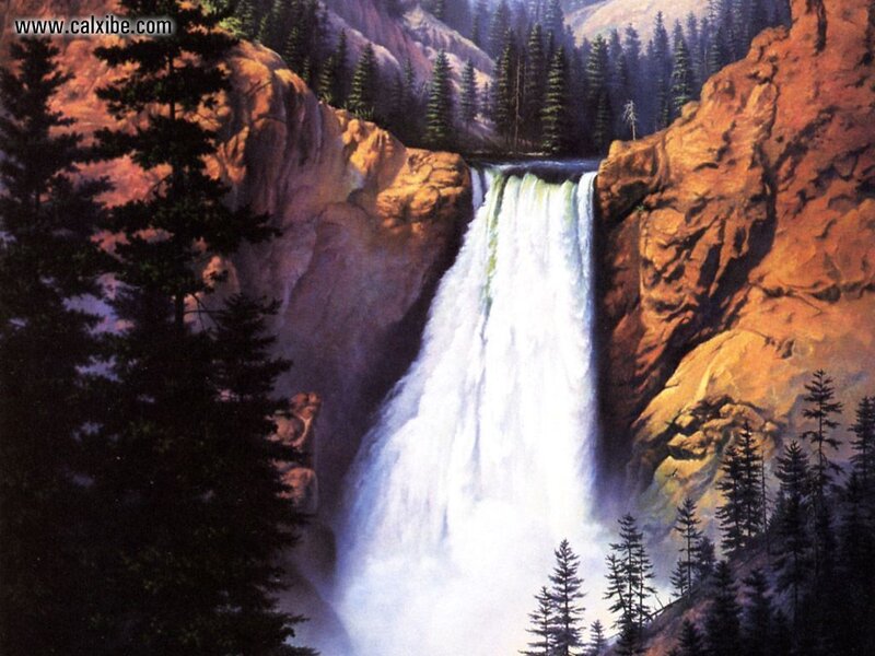 Waterfall in a forest canyon