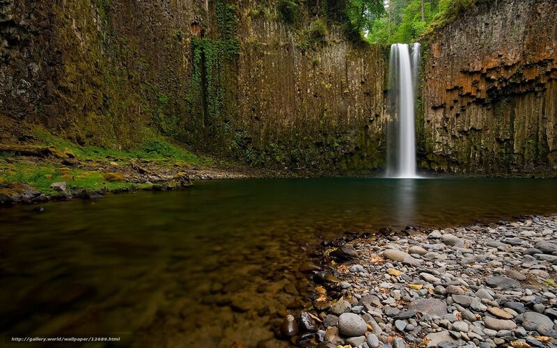 Waterfall in a forest canyon