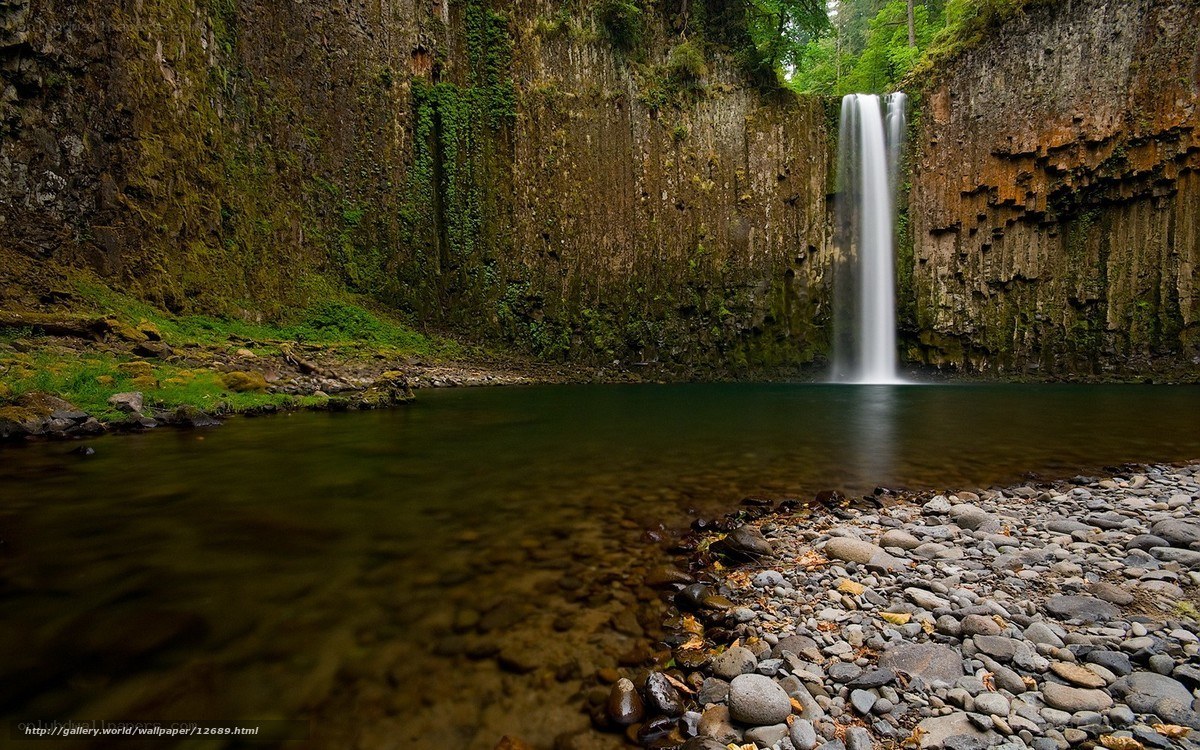 Waterfall in a forest canyon