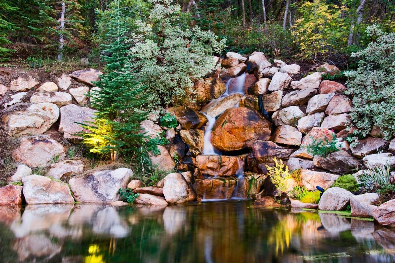 Waterfall in a forest garden