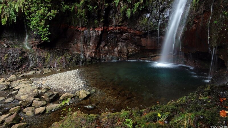 Waterfall in a forest pool