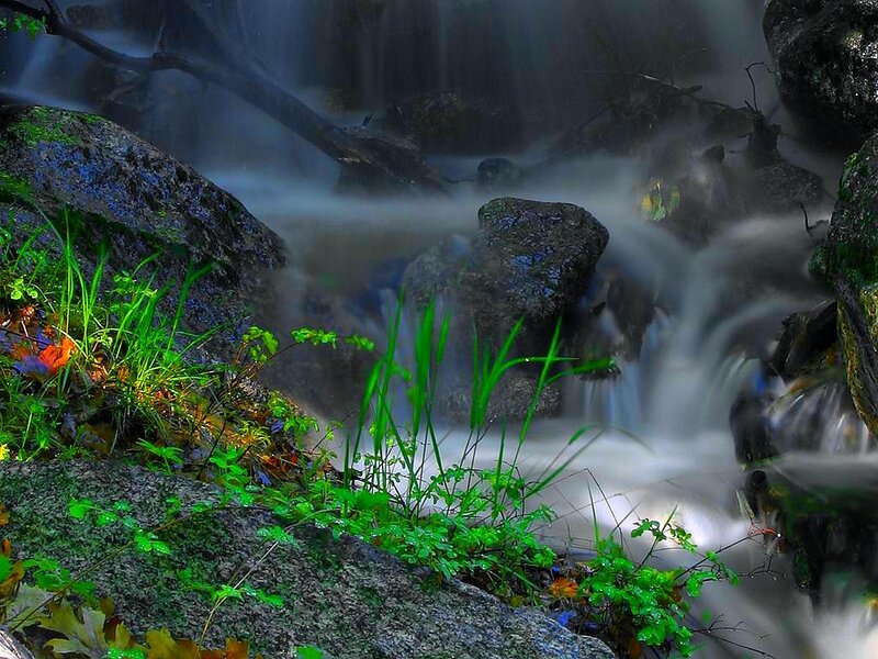 Waterfall in a forest stream