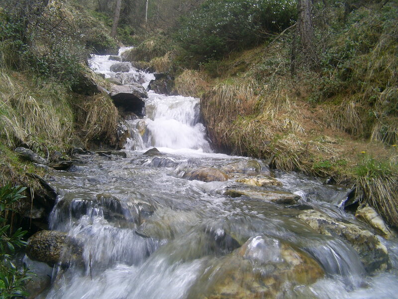 Waterfall in a forest stream