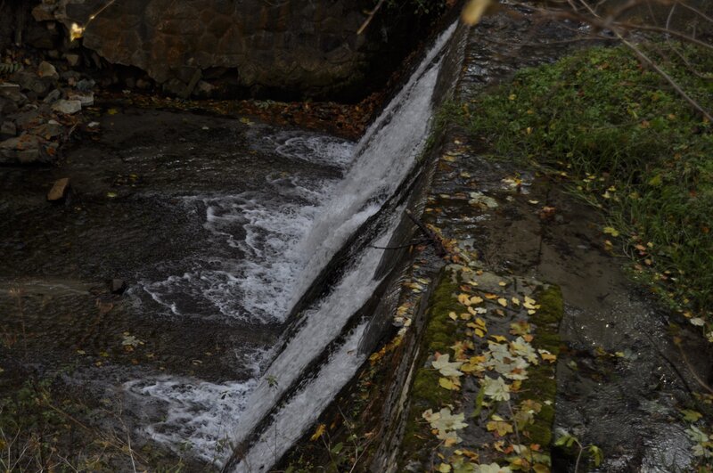 Waterfall in a forest stream