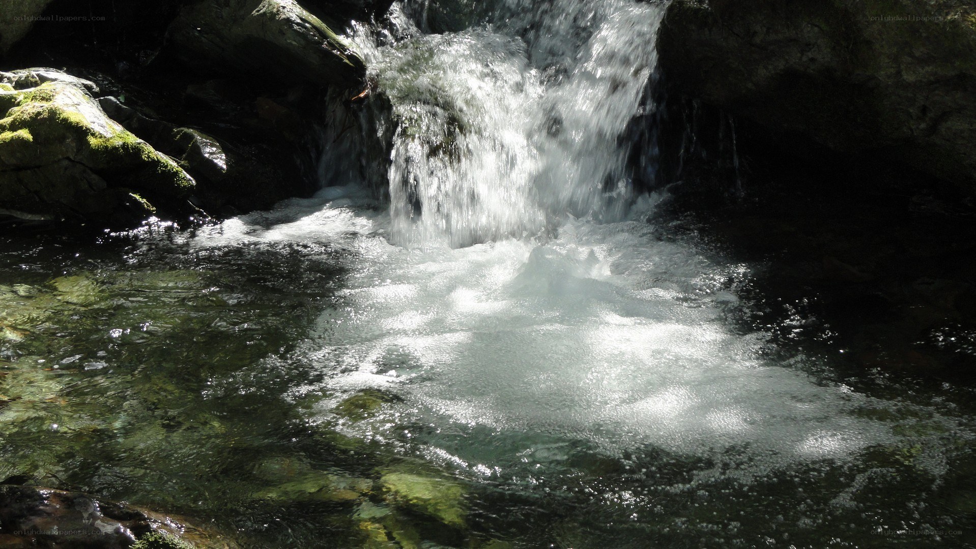Waterfall in a forest stream