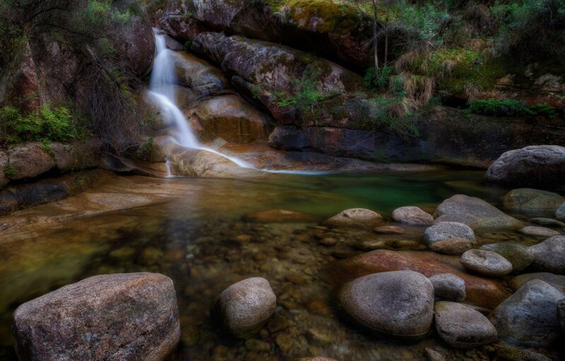 Waterfall in a forest stream
